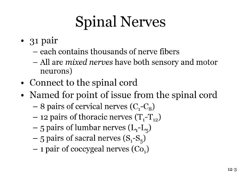 12-3 Spinal Nerves 31 pair each contains thousands of nerve fibers All are mixed